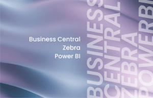 BUSINESS CENTRAL ZEBRA POWER BI-ADDERIT
