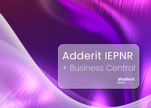 Adderit IEPNR modulo Business Central