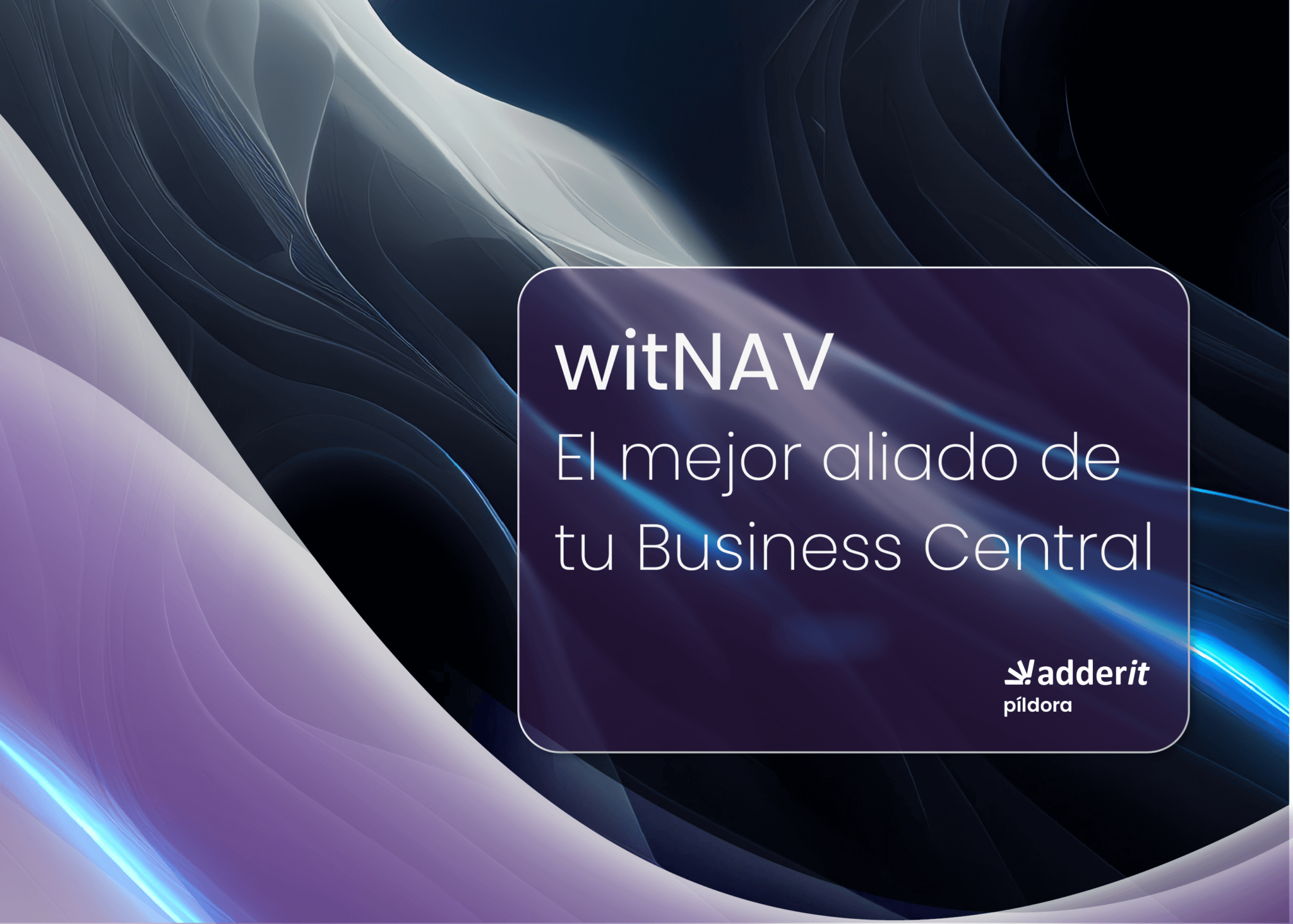 witNAV logo