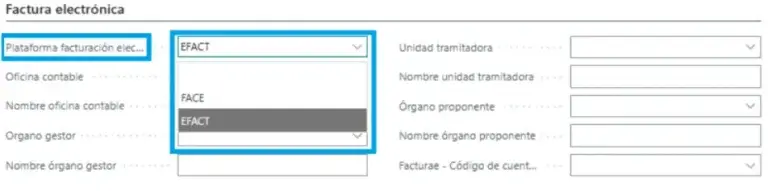 Configuración de campos personalizados en la cabecera de documento de Adderit Facturae.