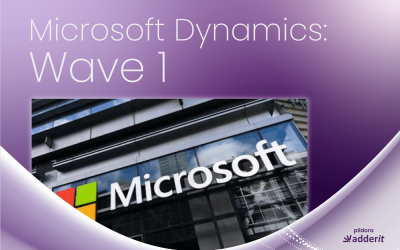 Microsoft dynamics wave 1 píldora informativa de Adderit